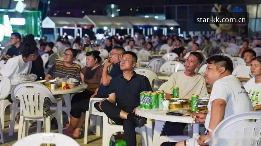 揭秘KK体育平台PLBW赛事数据：45.6MB安装包背后的决策逻辑